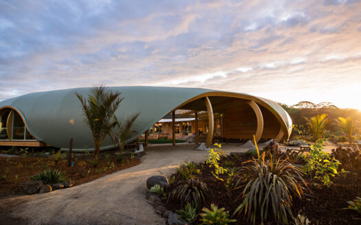 Qué debes saber de la Green School Tulum