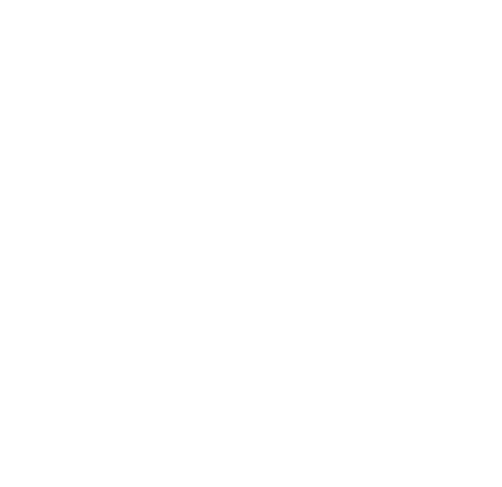 LOGO TURIX